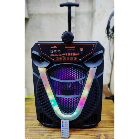 HAUT-PARLEUR PORTABLE...
