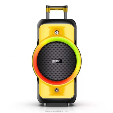 HAUT-PARLEUR TR-155-80W +...