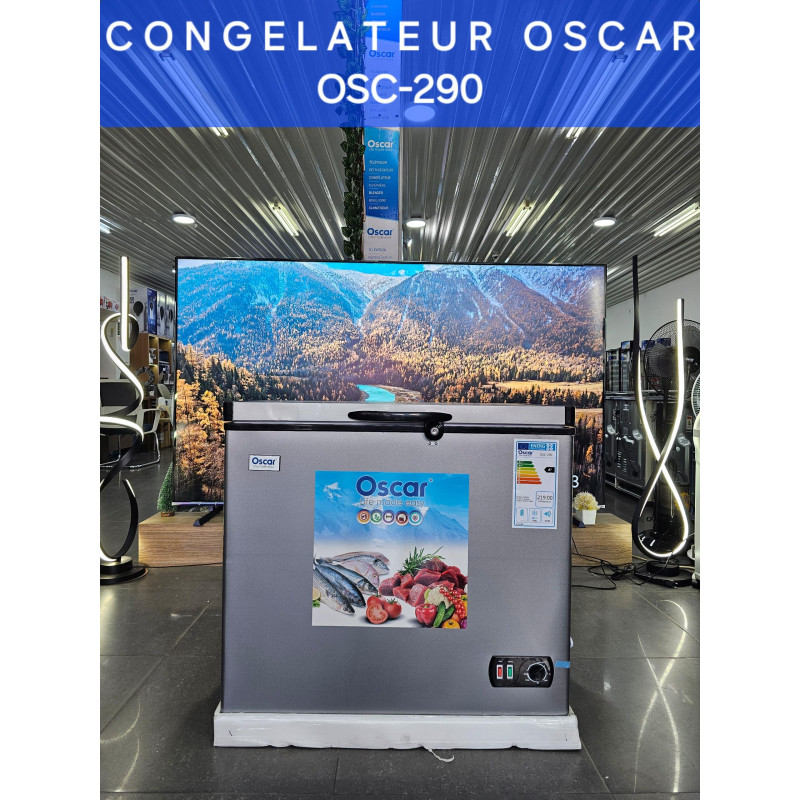 Congélateur coffre - OSCAR - 198 Litres - OSC 290 - Garantie 06 mois