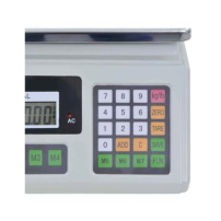 Balance Numérique avec Batterie Rechargeable - 40 kg , Garantie 06mois