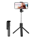 Perche Ou Canne à Selfie...