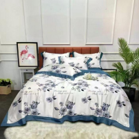 Drap + taies d'oreillée et...