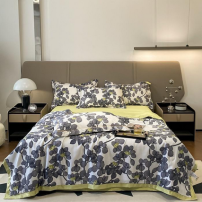 Drap + taies d'oreillée et...