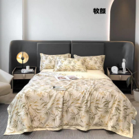 Drap + taies d'oreillée et...