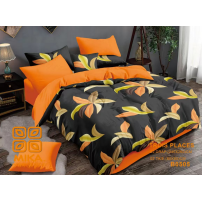 2 Draps 03 places + 2 Taie...