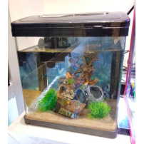 Aquarium 4Litres - petit...