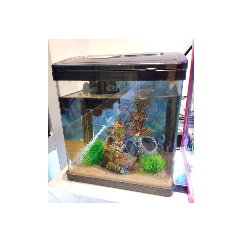 Aquarium 4Litres - petit modèle sans support - PY-200 - Verre