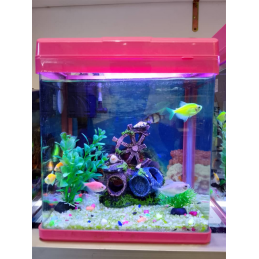 Aquarium à poisson 7Litres...