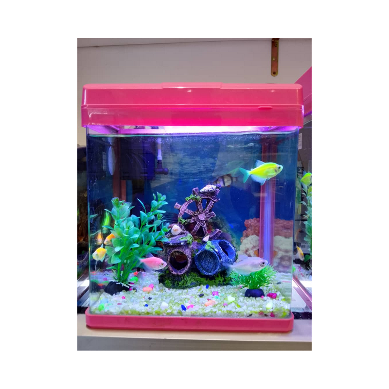 Aquarium à poisson 7Litres - sans support - PF-235 - Verre/Plastique