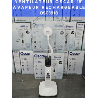 Ventilateur rechargeable...