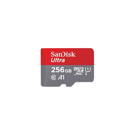 Carte Mémoire Micro SD - 256Go - Sandisk
